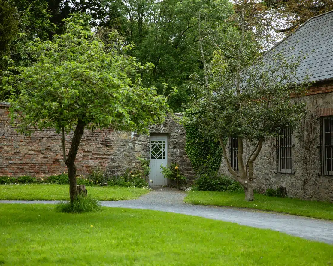 A serene garden with two small, leafy trees on a well-kept lawn. A winding gravel path leads to a light blue door set in a rustic stone wall reminiscent of Malahide Castle. Ivy creeps up the wall, offering partial views of old stone buildings beyond.