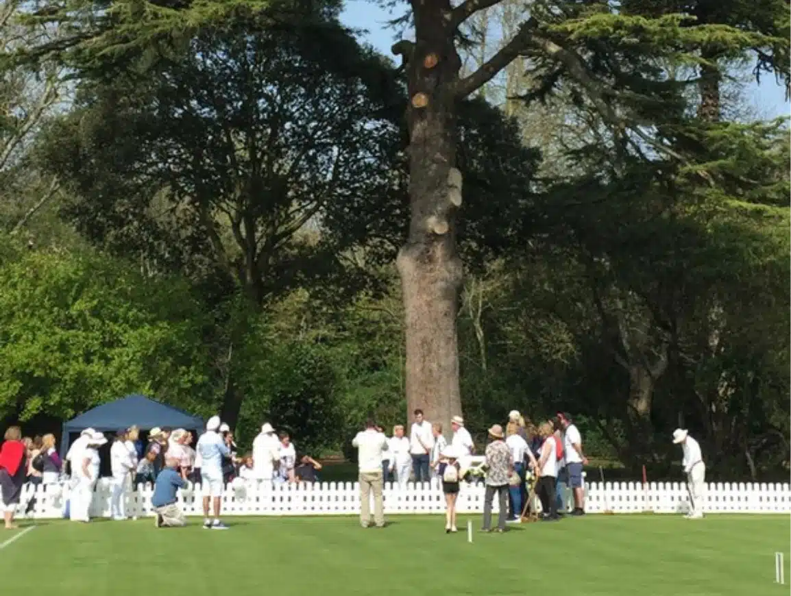 A group of people, dressed mostly in white, are gathered on a manicured lawn near a large tree and a white picket fence. Some are watching or preparing to play croquet. The scene is set in a garden with lush greenery.