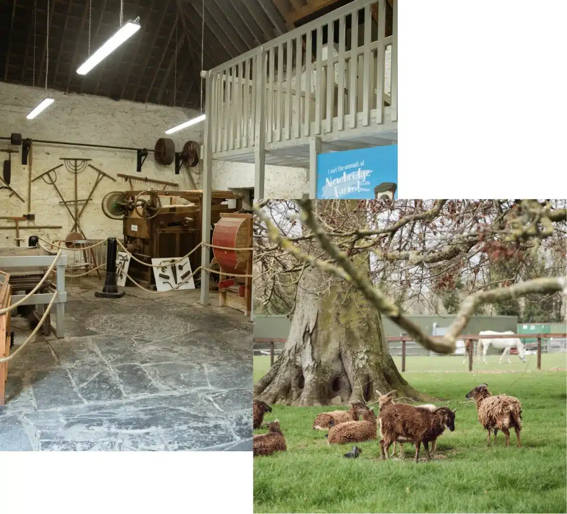 A collage depicting a rustic farm scene: on the left, a vintage farm museum reminiscent of Malahide Castle showcases tools and equipment. On the right, brown sheep graze under a tree in a green field, while a white horse stands majestically in the background.