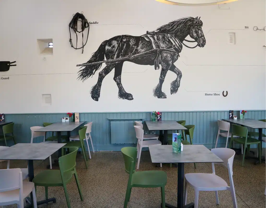 Cafe interior with green and beige chairs and gray tables. A large black horse illustration decorates the white wall, labeled with parts like "Saddle" and "Horse Shoe." Subtle nods to nearby Malahide Castle can be found in the decor. Small plants and condiments adorn the tables, enhancing the bright, airy atmosphere.