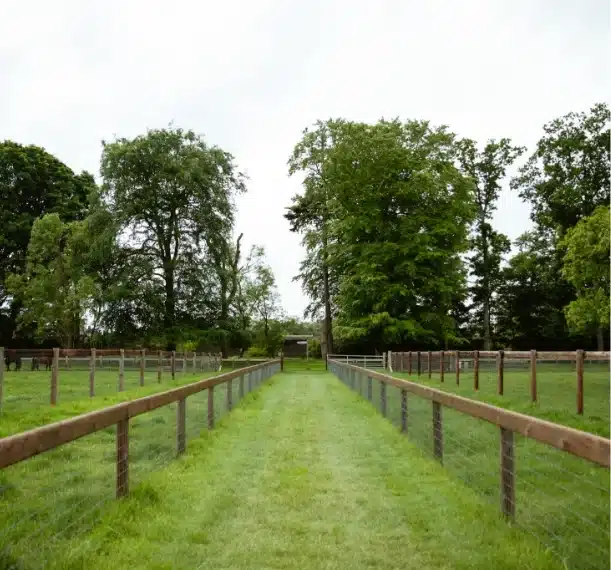 A straight, grassy path lined with wooden fences runs between green fields in the grounds of Malahide Castle, leading toward tall trees and a gate under an overcast sky.