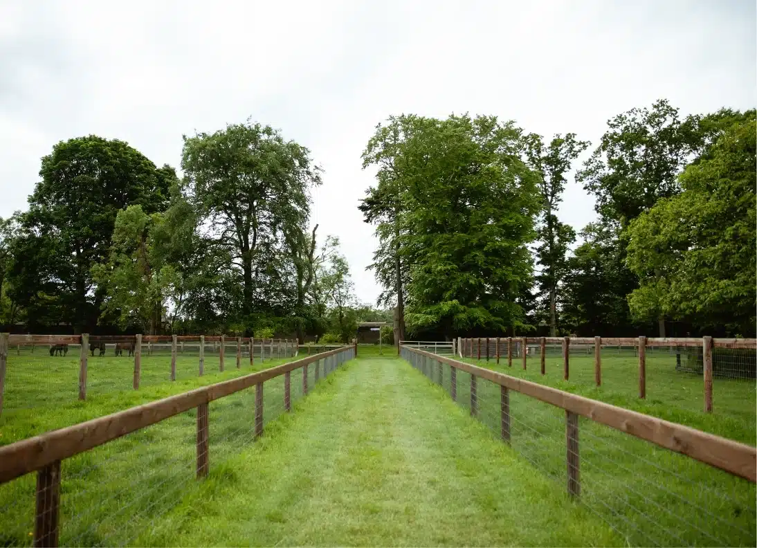 A grassy path flanked by wooden fences stretches into the distance, with tall green trees lining either side under a cloudy sky. The fences enclose sections of green fields on both sides.