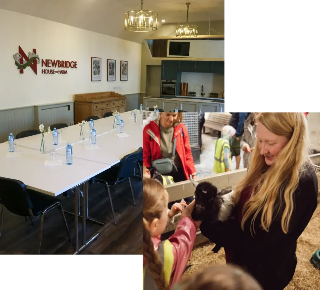 A conference room with a rectangular table, chairs, and water bottles. The wall features the Newbridge House logo. Inset: A woman holding a black lamb while children pet it at a farm setting.