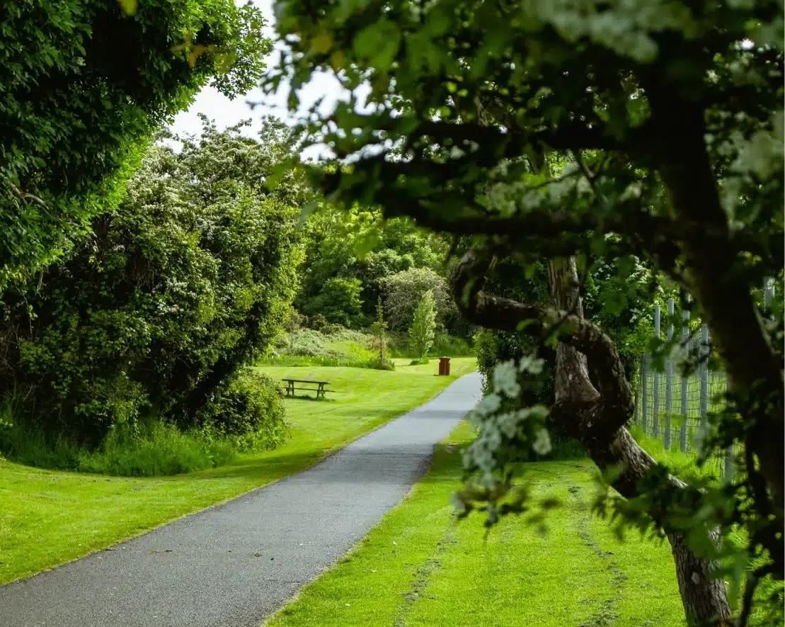 A scenic pathway winds through a lush green park near Malahide Castle, flanked by vibrant trees. A wooden picnic table sits to the left, while trees frame the pathway, creating a serene, inviting atmosphere.
