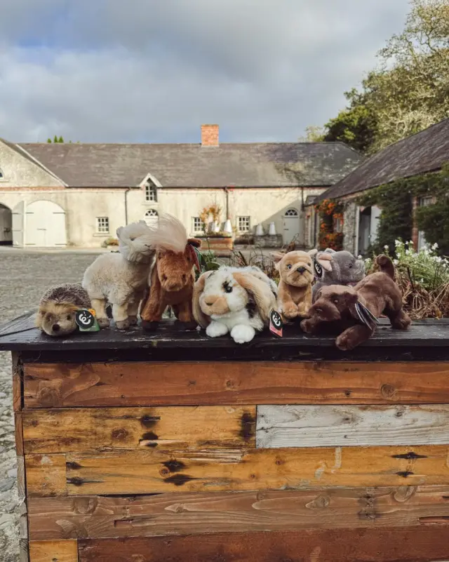 A Friend for Life. 🫶🏼

Our Living Nature collection continues to capture hearts at the Courtyard Gift Shop.
Each plush friend is lovingly hand-finished ✨ for a truly lifelike look — and comes with a 10-year guarantee ⏳ — a timeless companion to treasure.

Whether you’re looking for a thoughtful gift 🎁 or a special keepsake, these charming characters are ready to be loved for years to come.

📍Find your perfect match at The Courtyard Gift Shop!

#NewbridgeHouse #CourtyardGiftShop #LivingNature #TimelessGifts #PlushToys #GiftIdeas #CountrysideCharm #FarmLife #AnimalLovers #HandFinished #FamilyDaysOut #NewbridgeHouseAndFarm
