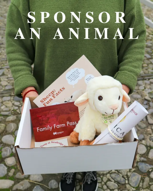 🐑 Sponsor a Farm Friend - Only €50! 🇮🇪

Looking for a gift with heart? 💚 Our Sponsor an Animal gift box is the perfect present for animal lovers of all ages!

By sponsoring one of our adorable residents - from sheep and donkeys to alpacas and owls - you’re directly supporting their care 🐾 and helping preserve our heritage farm for future generations.

🎁 Each sponsorship box includes:
✨ A plush toy of your chosen animal
✨ A personalised certificate
✨ A Family Farm Pass
✨ Fun animal facts & a thank you note

And yes - it’s all yours for just €50, including postage anywhere in Ireland! 📦

Sponsor today & make someone smile! 

👉 https://bookings.newbridgehouseandfarm.com/Event/SPONSOR

#NewbridgeHouseAndFarm #SponsorAnAnimal #HeritageFarm #GiftWithPurpose #IrishFarms #FarmLife #AnimalLovers #SupportLocalIreland